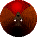 Rust ascension.png