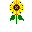 Файл:Sunflowerplant.png